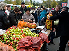 Цены ниже рыночных: крупные сельхозярмарки выходного дня пройдут в Новочеркасске и Азове