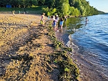 Дети тонут в Приморье: подробности четырех трагических случаев за неделю