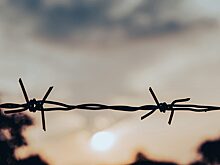 Жизнь до и после