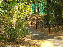 В Пушкине заасфальтировали еще четыре народные тропы