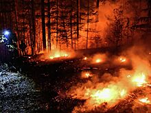 Что можно требовать от туроператора при стихийных бедствиях