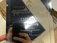 Краснодарский фотограф занял третье место во всероссийском конкурсе среди профессионалов