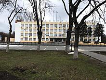 Дупла и гниль: кому мешали ивы в ростовском парке