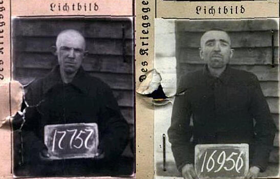 Опознаны более 120 советских военнопленных, погибших в польском концлагере