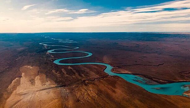 Невероятно, но это снимали на телефон! Лучшие фото конкурса iPhone Photography Awards 2021