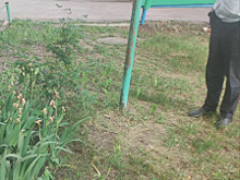 В Самарской области сотрудниками уголовного розыска в кратчайший срок задержан подозреваемый в причинении тяжкого вреда здоровью