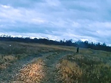 Браконьер открыл огонь по инспектору охотнадзора под Магнитогорском