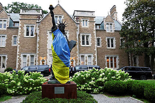 Брайен: Украина провокацией в Европе желает добиться иностранного вмешательства