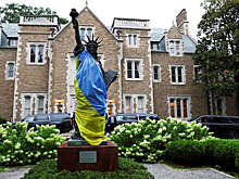 Брайен: Украина провокацией в Европе желает добиться иностранного вмешательства