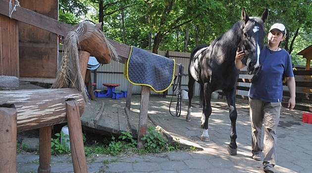 ЭПЦ "Конный двор" приглашает косино-ухтомцев на лекцию о лошадях