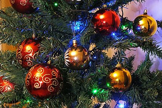 В России предложили сократить новогодние праздники на время спецоперации