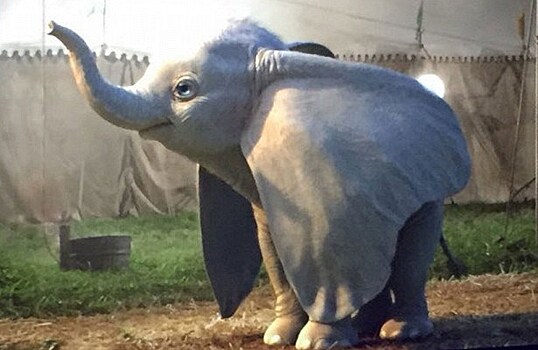 Студия Disney показала слоненка Дамбо из нового фильма Тима Бартона