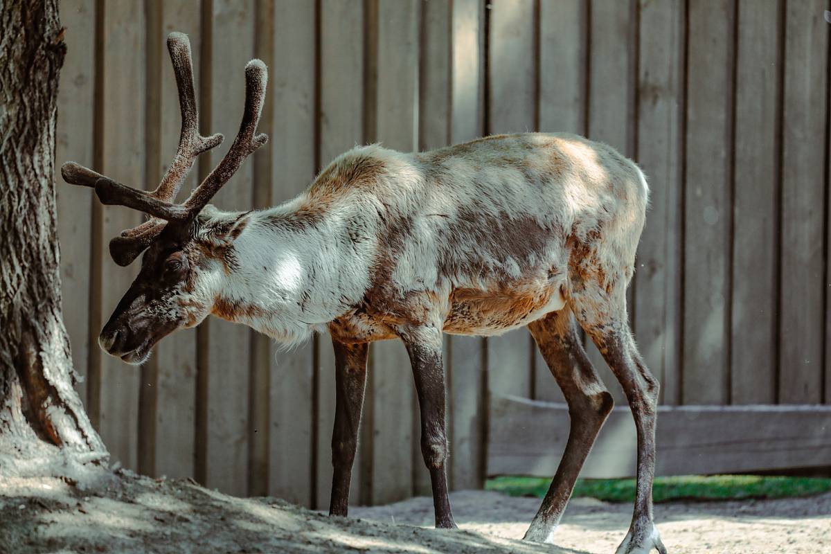 Жители Финляндии выдвинули абсурдное обвинение России