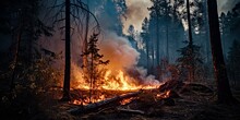 К тушению лесных пожаров в Якутии привлекли 16 самолетов и вертолетов