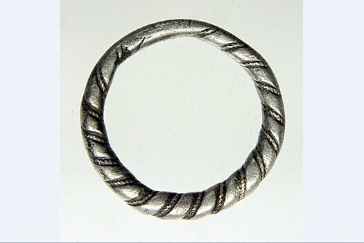 В Нидерландах найдено 1000-летнее кольцо викингов