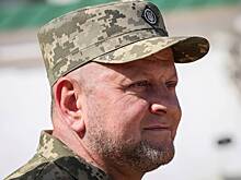 На Украине заявили о планах Зеленского обвинить Залужного в ситуации в Авдеевке
