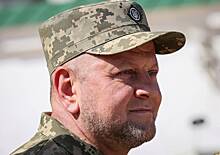 На Украине заявили о планах Зеленского обвинить Залужного в ситуации в Авдеевке
