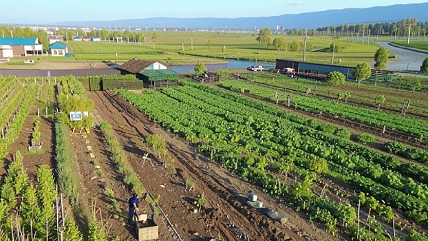 В Красноярском крае 20 тысяч садовых участков улучшили инфраструктуру за счет грантов