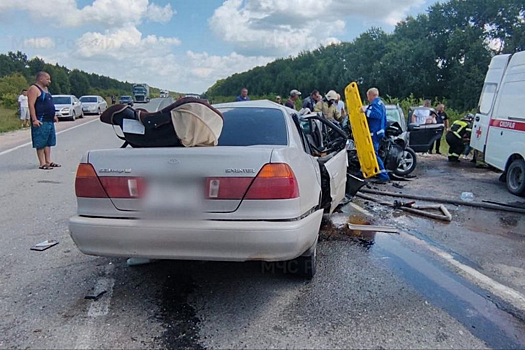 МЧС сообщило о резком росте смертельных ДТП на дорогах Новосибирской области