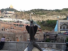 В Грузии в грузовике обнаружили 200 кг наркотиков