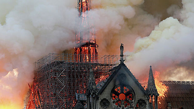 «Сердце в пепле»: появился коллаж из обложек о Нотр-Даме