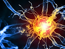 Полимер помог вживить неорганические электроды в ткани человека