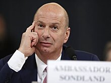 Посла США при ЕС обвинили в домогательствах