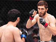 Бой Нурмагомедова официально исключен из программы турнира UFC 308