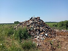 «Случайно» уронили мусорную реформу
