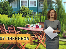 Вместо шашлыка и дружеских встреч — ремонт в квартире: как провести майские праздники в режиме самоизоляции