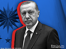 Эрдоган сам создал повод для уничтожения политических противников?