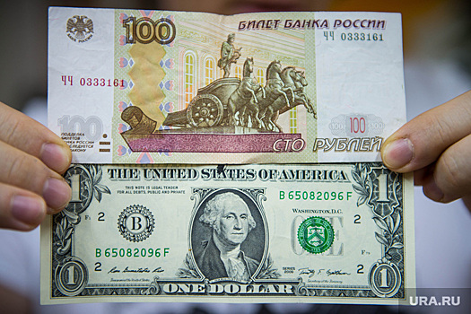 Госдума: Россия поэтапно отказывается от доллара