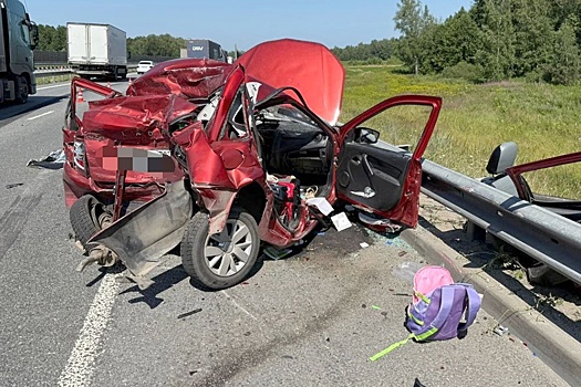 В Подмосковье фура раздавила автомобиль, три человека погибли