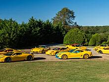 На аукцион выставлена уникальная коллекция Ferrari