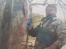В Волгоградской области четвертый день ищут молодого мужчину, не вернувшегося после утренней рыбалки