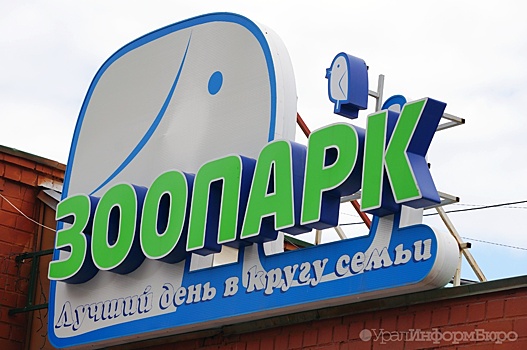 Терминал для самостоятельной покупки билетов появился в зоопарке Екатеринбурга
