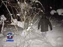 Заплутал в дебрях: упавшего в овраг новосибирца нашли по приложению