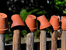 Дачникам грозят «заборные» штрафы