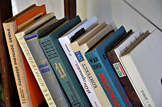 Заседание книжного клуба организовали онлайн сотрудники библиотеки имени Василия Жуковского