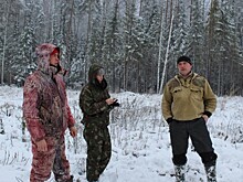 В области сократилось количество нарушений в сфере оборота древесины