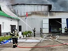 Пожар в Талдоме локализован на 4 200 квадратных метрах