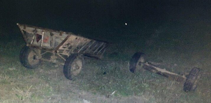 Пожилой кучер погиб после ДТП в «ГАЗелью»