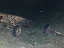 Пожилой кучер погиб после ДТП в «ГАЗелью»