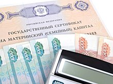 Движение "Зов Народа" предложило расширить возможности использования маткапитала