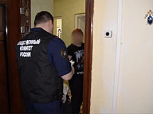 В Перми накрыли ОПГ, выдававшую мигрантам поддельные сертификаты по русскому языку