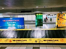 Багаж Человека-паука в Домодедово оказался рекламной кампанией одноименного фильма