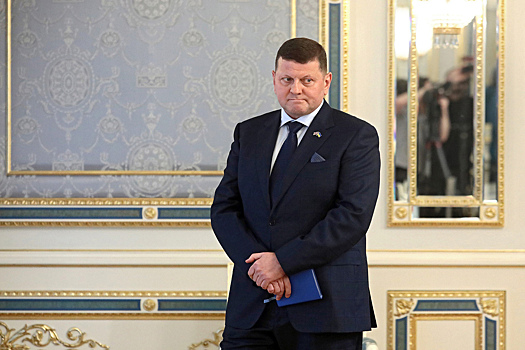 Политолог прокомментировал недавнее заявление Залужного, адресованное Зеленскому