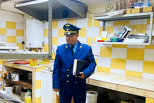 В Ленобласти задержали управляющего кафе, в котором насмерть отравилась девочка