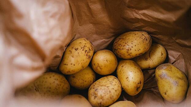 Врач предупредил об опасности употребления позеленевшего картофеля
