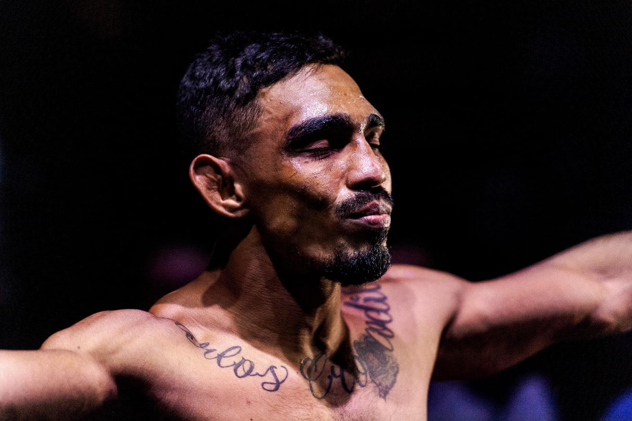 Бразильские бойцы UFC